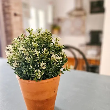 Сasa de vacaciones Casa Del Arquillo