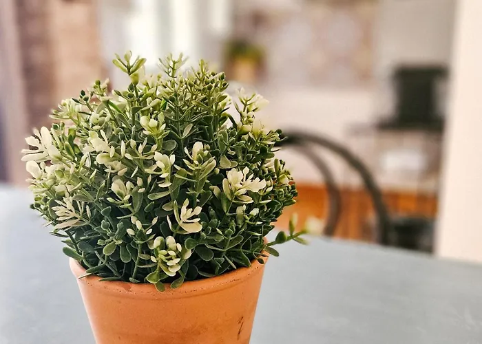 Ferienhaus Casa Del Arquillo